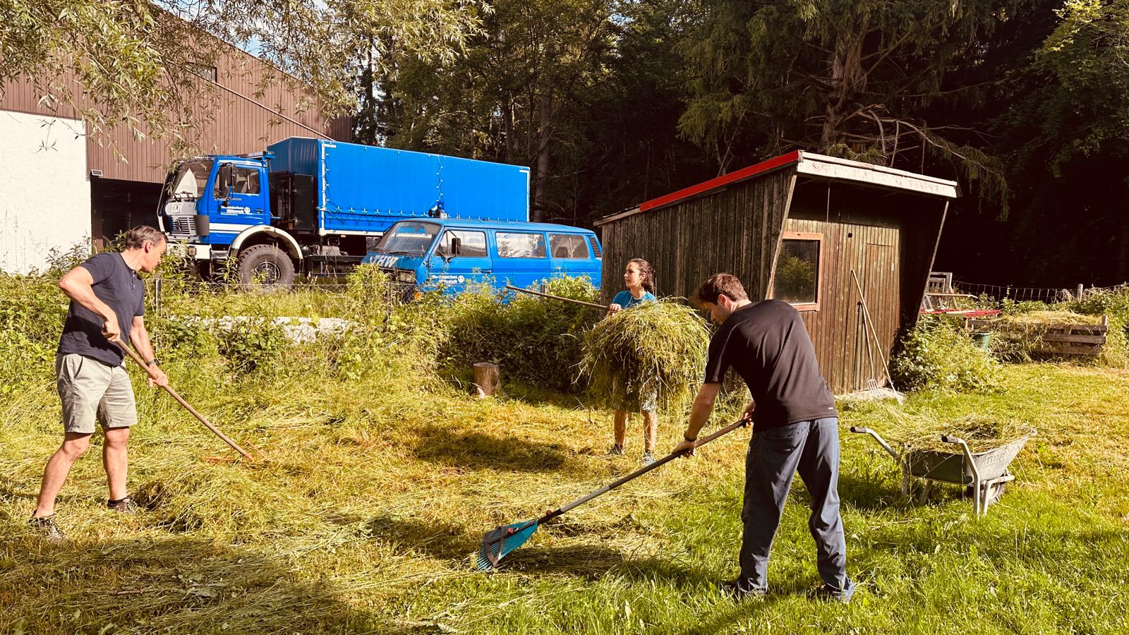 Gartenarbeit - Rechen
